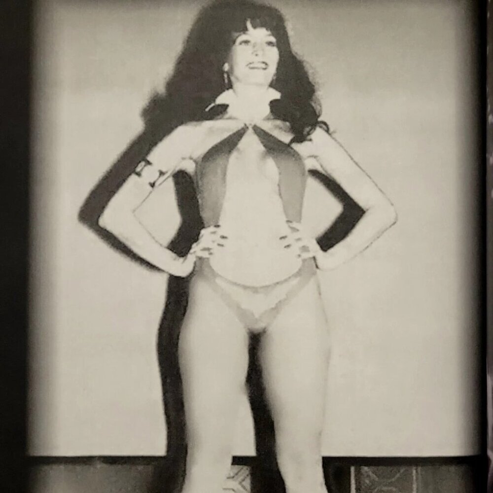 SEXY Bad Girl The Barbara Leigh Collection My World In Pictures Vampirella - Picture 2 of 6